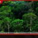 ඉහළ ජල පෝෂක ප්රදේශ කළමනාකරණය සඳහා නව අධිකාරියක්