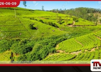 වතු සමාගම් සතු හෙක්ටයාර ලක්ෂ දෙකකට  අධික භූමිය සහ වසර 53ක බදු කාලසීමාවේ  වත්මන් තත්ත්වය පිළිබඳව  විශේෂ අනාවරණයක්!