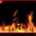 මොනරාගල දඹගල්ල ප්රදේශයේ කොහු මෝලක හටගත් ගින්නකින් දේපල හානි