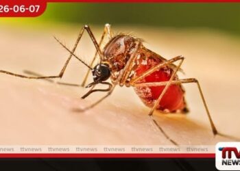 ඩෙංගු රෝගීන්ගේ  ඉහළ යාමත් සමඟ හෙට සිට  විශේෂ මදුරු මර්දන වැඩසටහනක්