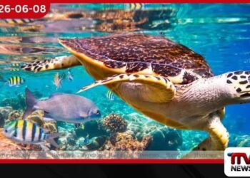 ජාත්‍යන්තර සාගර දිනය අදයි