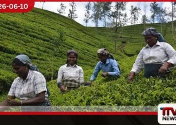 වතු කම්කරුවන් සම්බන්ධ  ඇම්නෙස්ටි ඉන්ටර්නැෂනල් වාර්තාව  රජය ප්‍රතික්ෂේප කරයි