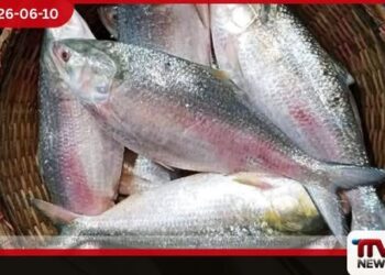 ශ්රී ලංකාවේ මාළු මිලේ හදිසි ඉහළ යාමක් නවතම මිල ගණන් මෙන්න