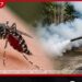 නොවූවොත් සූදනම් එන පොට අවදානම්…