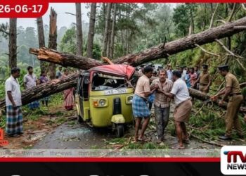 ප්රතිකාර ගැනීමට සිසුන් දෙදෙනා රැගෙනගිය ත්රීරෝද රථයට ගසක් කඩා වැටේ…
