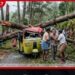 ප්‍රතිකාර ගැනීමට සිසුන් දෙදෙනා රැගෙනගිය ත්‍රීරෝද රථයට ගසක් කඩා වැටේ…