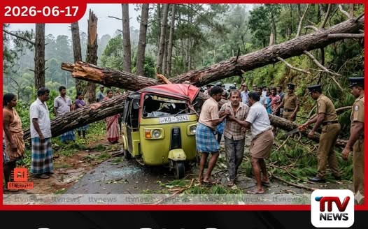 ප්රතිකාර ගැනීමට සිසුන් දෙදෙනා රැගෙනගිය ත්රීරෝද රථයට ගසක් කඩා වැටේ…