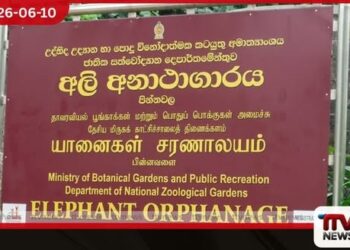 පින්නවල අලි අනාථ නිවාසය  පර්යේෂණ සහ අභිජනන මධ්‍යස්ථානයක් ලෙස  වැඩිදියුණු කිරීමට සැලසුම්