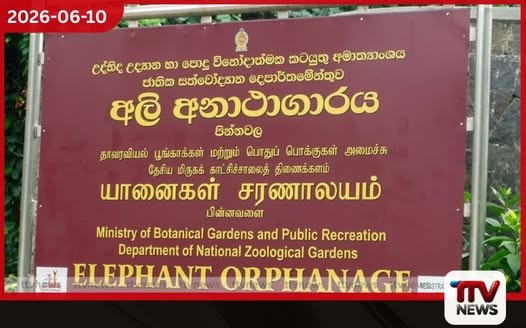 පින්නවල අලි අනාථ නිවාසය පර්යේෂණ සහ අභිජනන මධ්යස්ථානයක් ලෙස වැඩිදියුණු කිරීමට සැලසුම්