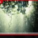 පළාත් තුනකට මිලිමීටර් 50ට වැඩි තද වැසි…