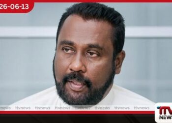 හෙක්ටර් අප්පුහාමි දිට්වා කමිටුවෙන් අස්වෙයි