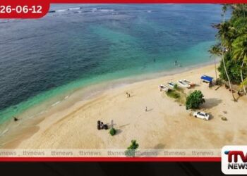 පොල්හේන මුහුදු තීරයට ජෙලිෆිෂ් ගසාගෙන ඇවිත් දිය නෑමෙන් වළකින්නැයි රතු කොඩි දමයි
