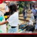 වන්දනා සමය නිමාවත් සමඟ ඇරඹි ශ්රී පාද පවිත්රකරණය MAS බොඩිලයින් වෙතින් ආදර්ශමත් මෙහෙයුමක්!