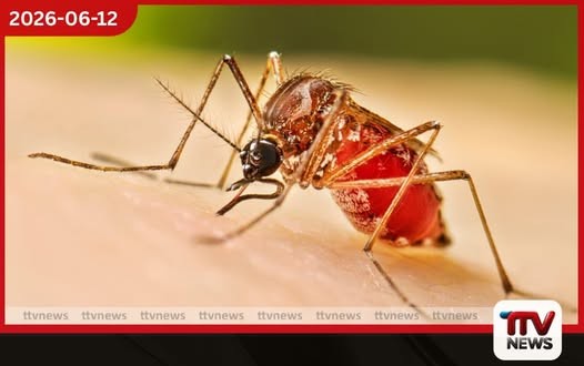 ජුනි 15 සිට ඩෙංගු මර්දන විශේෂ සතියක්