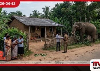 සේරුවිලදී වන අලි ප්රහාරයකින් 72 හැවිරිදි පියෙකු ජීවිතක්ෂයට
