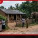සේරුවිලදී වන අලි ප්රහාරයකින් 72 හැවිරිදි පියෙකු ජීවිතක්ෂයට