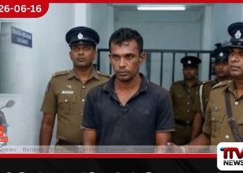 කඩුවක් පෙන්වා රන් මාල කොල්ලකෑ මත්ලෝලියා කොටුවෙයි…