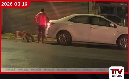 පිළියන්දලදී දුටු සංවේදී දසුනක්