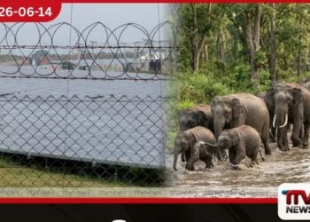 හම්බන්තොට වනඅලි රක්ෂිත සීමා සුරකිමින් ඇරඹෙන දැවැන්ත සූර්ය බලශක්ති මෙහෙයුම