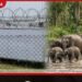 හම්බන්තොට වනඅලි රක්ෂිත සීමා සුරකිමින් ඇරඹෙන දැවැන්ත සූර්ය බලශක්ති මෙහෙයුම