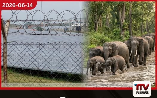 හම්බන්තොට වනඅලි රක්ෂිත සීමා සුරකිමින් ඇරඹෙන දැවැන්ත සූර්ය බලශක්ති මෙහෙයුම