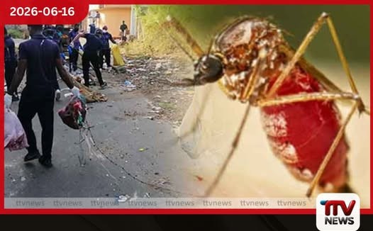 ඩෙංගු කීටයින් බෝවන ස්ථානවලින් 41%ක් පාසල් ආශ්රිතව