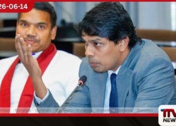 2029 දී මහින්දගේ පුතා ඇවිල්ලා  සිංහල-දෙමළ ප්‍රශ්නය  ඉවර කරනවා