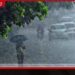 අද පස්වරු 2න් පසු ඇතැම් ප්රදේශවලට වැසි බලාපොරොත්තු විය හැක