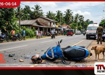 අතුරුගිරියේදී යතුරුපැදියක් සුනඛයෙකුගේ ගැටීමෙන් රියදුරු ජීවිතක්ෂයට