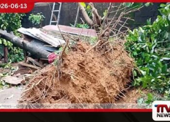හෝමාගම ප්රදේශයට දැඩි සුළි සුළං තත්ත්වයක්
