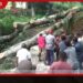 කොලොන්නපිටියේ නිවසක් මතට ගසක් කඩා වැටීමෙන් එකම පවුලේ සිව්දෙනෙකු රෝහලේ