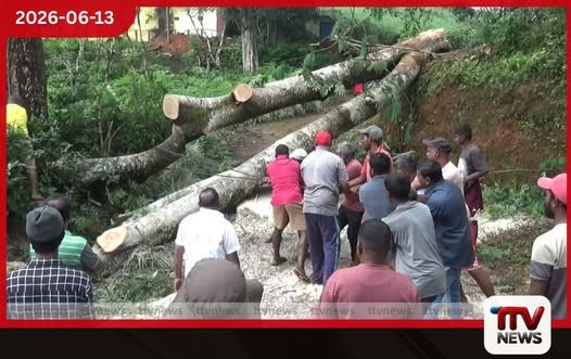 කොලොන්නපිටියේ නිවසක් මතට ගසක් කඩා වැටීමෙන් එකම පවුලේ සිව්දෙනෙකු රෝහලේ