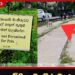 ඇවිදින මංතීරුවද? බල්ලන්ගේ ක්රීඩා පිටියද?