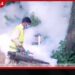 රටේ ඩෙංගු ව්යාප්තිය යළිත් තීරණාත්මක මට්ටමක…