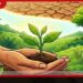 කාන්තාරකරණයට සහ නියඟයට වැට බඳිමු ජාත්යන්තර දිනය අදයි
