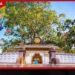 ජය ශ්‍රී මහා බෝධියේ අත්තක් කපල සඟවපු අඳුරු කුමන්ත්‍රණය!