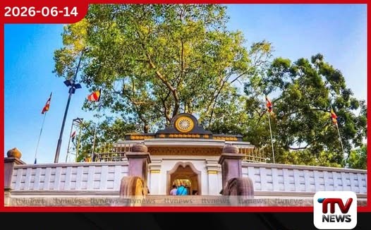 ජය ශ්රී මහා බෝධියේ අත්තක් කපල සඟවපු අඳුරු කුමන්ත්රණය!