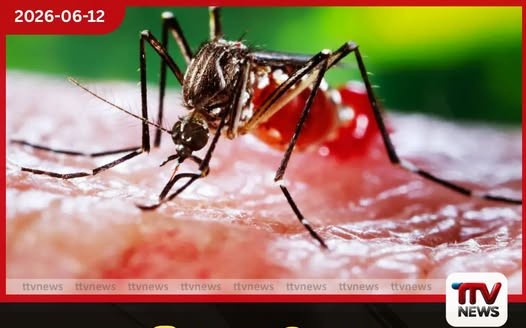 ශ්රී ලංකාව තුළ ඩෙංගු වසංගත අවදානමක්