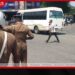 මහනුවර නගරයේ උමං මාර්ග මඟහැර පාර පනින පදිකයින්ට වැඩ වරදී…