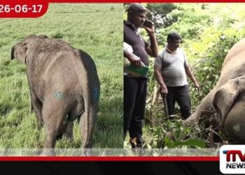 මරණයේ මුවදොරේ සිටි සද්ධන්තයාට යළි පණ දුන් ජීවක පරපුරේ වෛද්ය සමීර කලිඟුආරච්චි