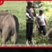 මරණයේ මුවදොරේ සිටි සද්ධන්තයාට යළි පණ දුන් ජීවක පරපුරේ වෛද්ය සමීර කලිඟුආරච්චි