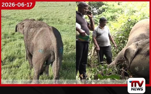 මරණයේ මුවදොරේ සිටි සද්ධන්තයාට යළි පණ දුන් ජීවක පරපුරේ වෛද්ය සමීර කලිඟුආරච්චි