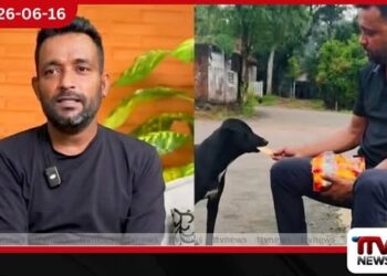 මිනිසුන්ට වඩා සතුන් විශ්වාසයි…