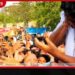 විරෝධතාවක් අතරතුර කැරපොතු පක්ෂයේ නිර්මාතෘ අභිජීත් දිප්කේට පහරදීලා…