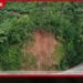 ගස් කඩා වැටීම හේතුවෙන් හැටන් – නුවරඑළිය මාර්ගයේ ගමනාගමනය සීමා කෙරේ