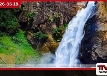 දුන්හිඳ දිය ඇල්ල නැරඹීමට ගොස් අතුරුදන් වූ පුද්ගලයා දින 3කට පසු රක්ෂිතයෙන් නිරුපද්රිතව සොයාගැනේ
