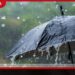 දිස්ත්‍රික්ක 07ක් සහ  පළාත් 04ක් සඳහා  කාලගුණ දෙපාර්තමේන්තුවෙන්  රතු නිවේදනයක්!