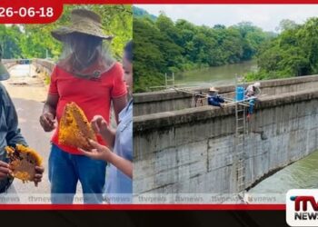 පේරාදෙණිය සරසවියේ අක්බාර් පාලමේ බඹර වද 10ක් උපාධි ප්රදානෝත්සවය වෙනුවෙන් ඉවත් කෙරේ