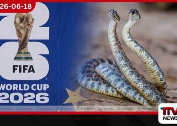 FIFA ලෝක කුසලානයට සර්ප ප්රහාරයක්