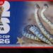 FIFA ලෝක කුසලානයට සර්ප ප්රහාරයක්